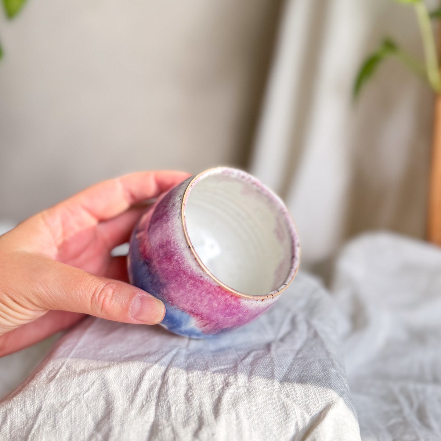 Daydream Cup #2