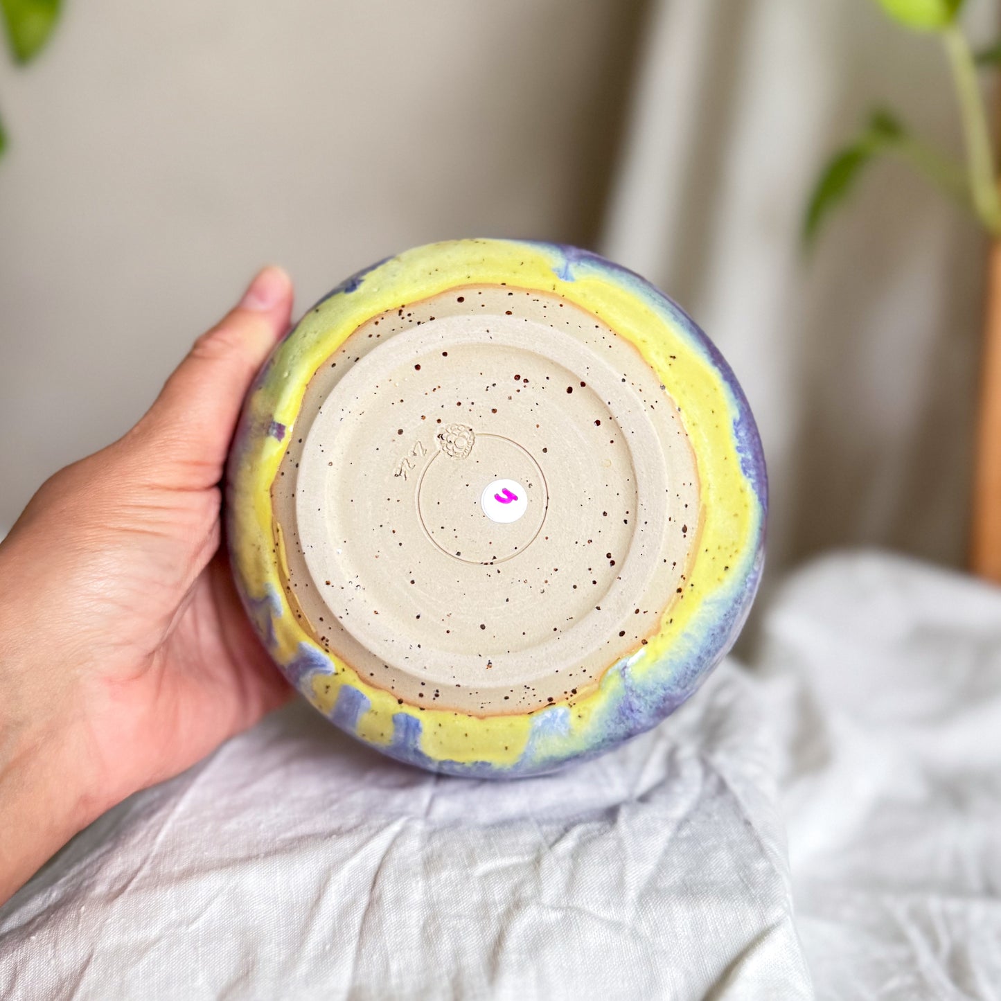 Blueberry Banana Split Breakfast Bowl #4