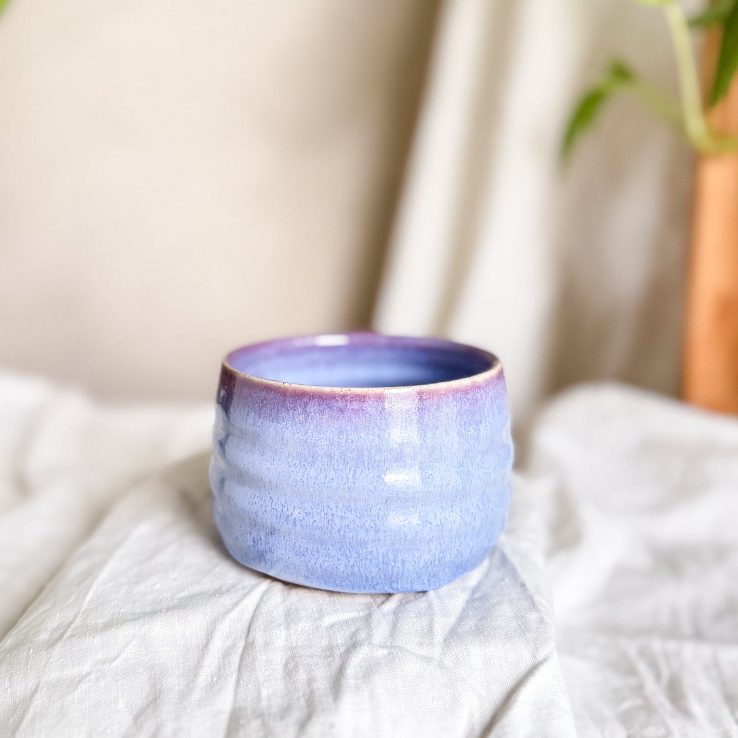 Wisteria Lane Manou Mug #3