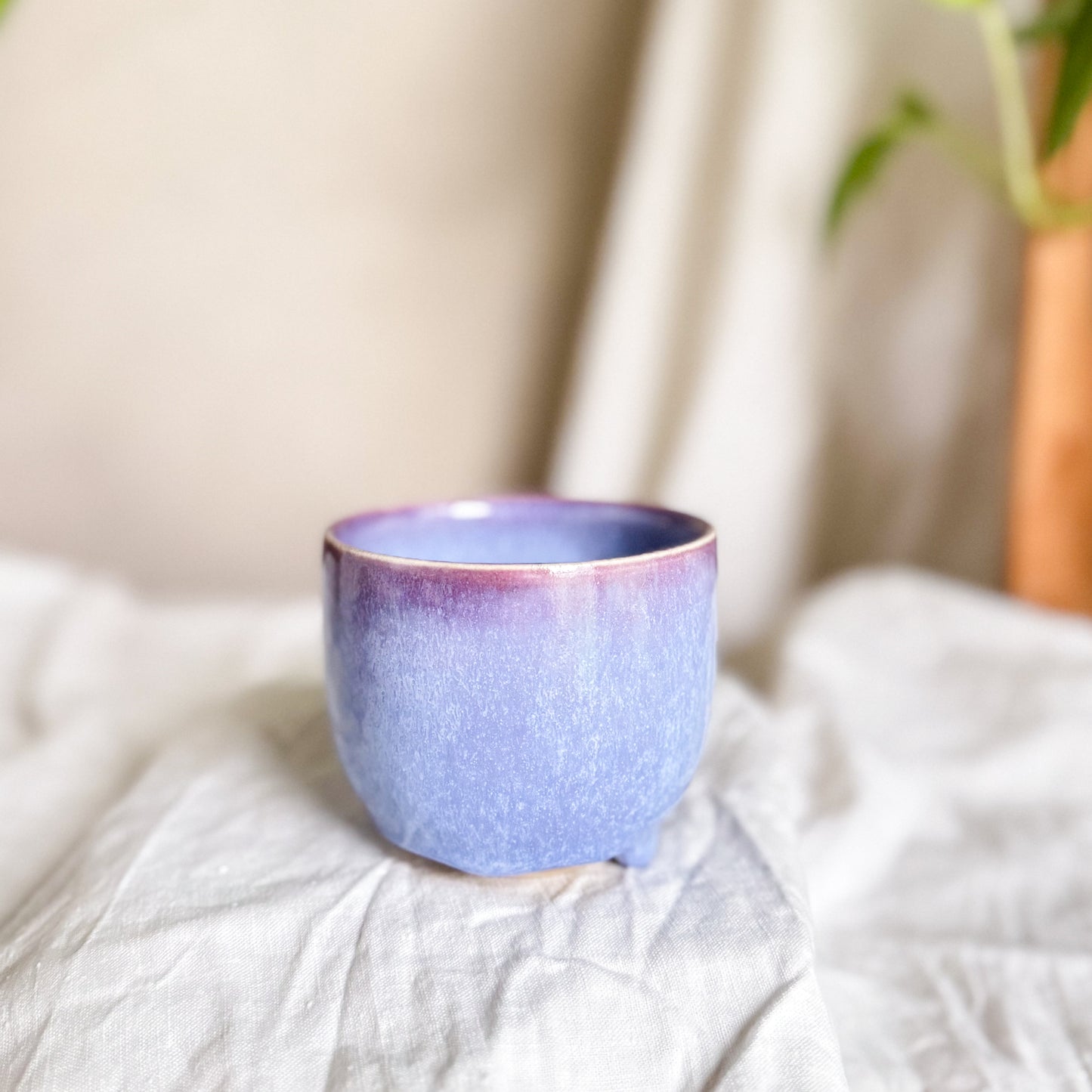 Wisteria Lane Cup #6