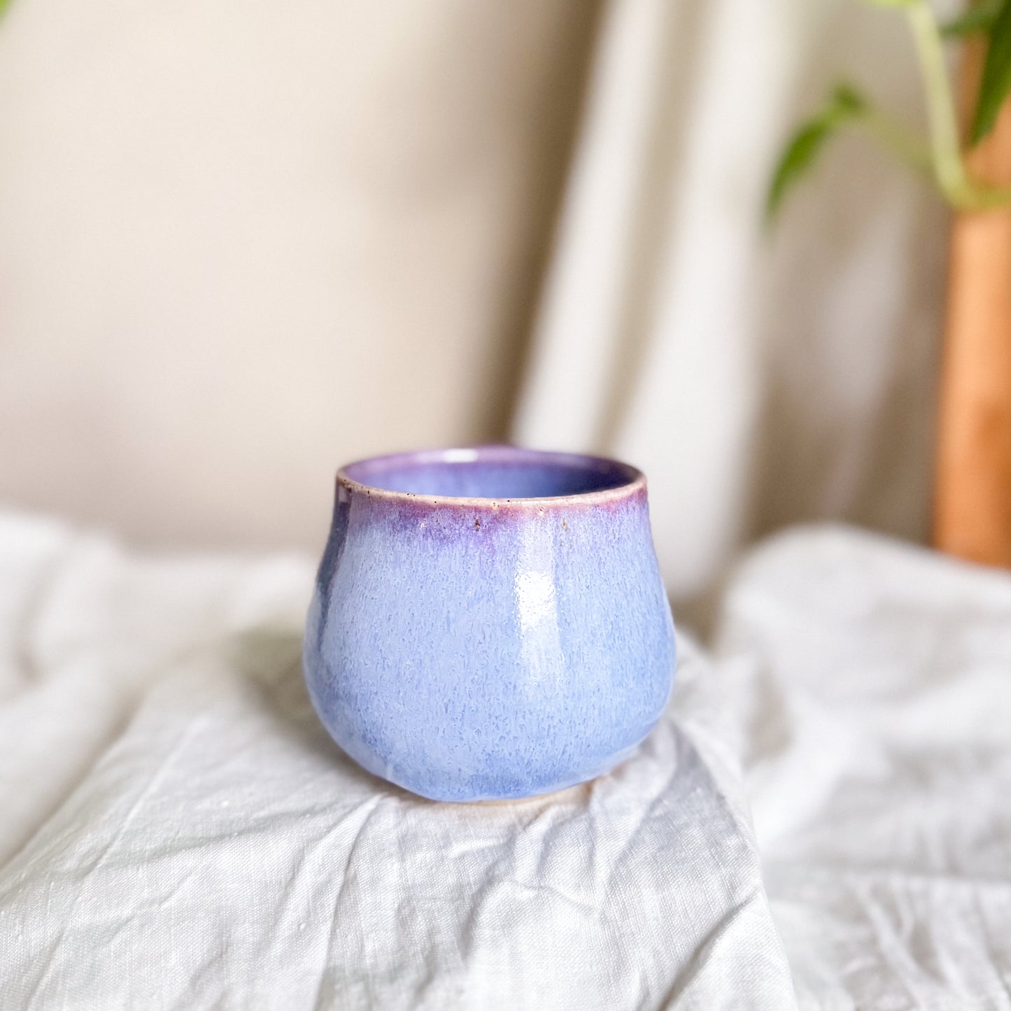 Wisteria Lane Cup #7