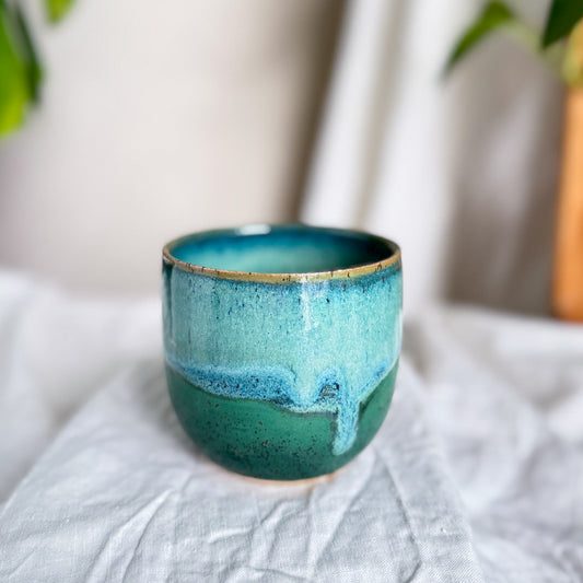 Rainforest Cup #2