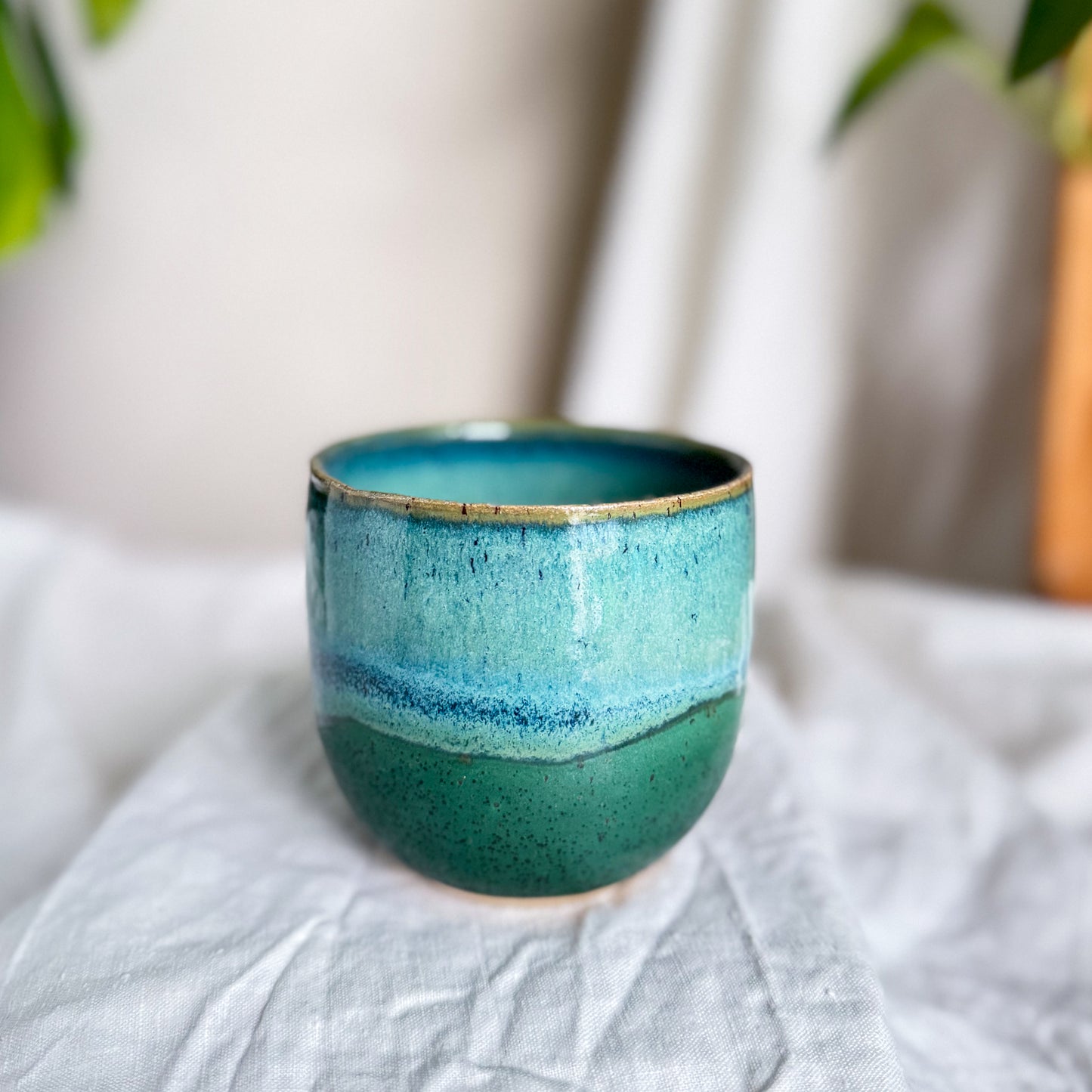 Rainforest Cup #2