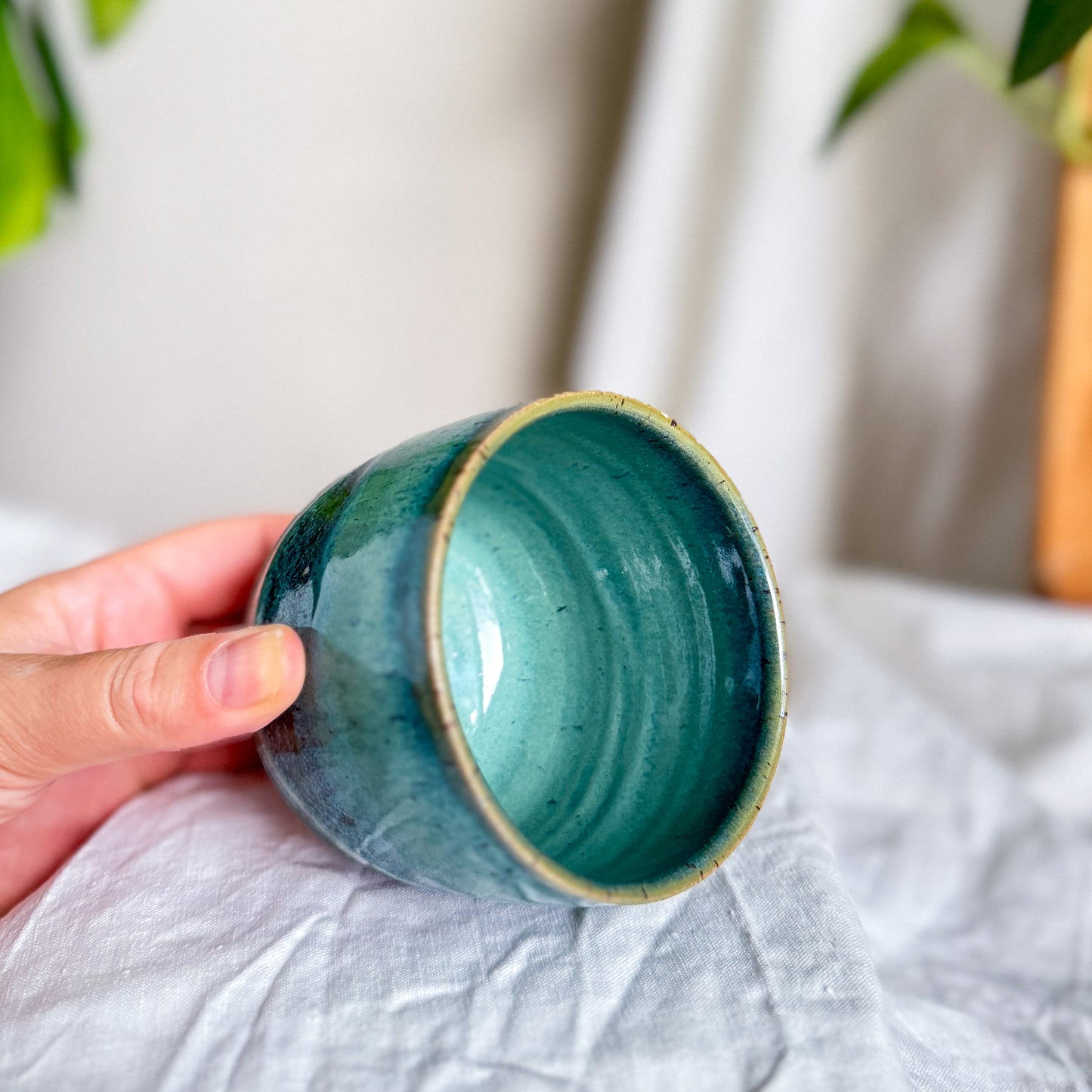 Rainforest Cup #2