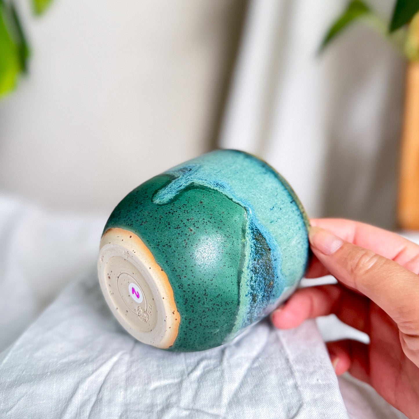 Rainforest Cup #2