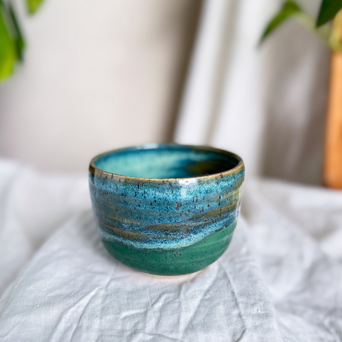 Rainforest Cup #3