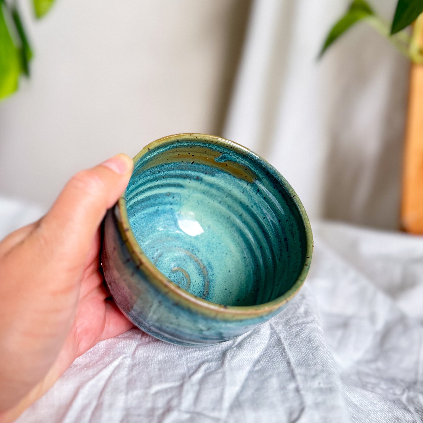 Rainforest Cup #3