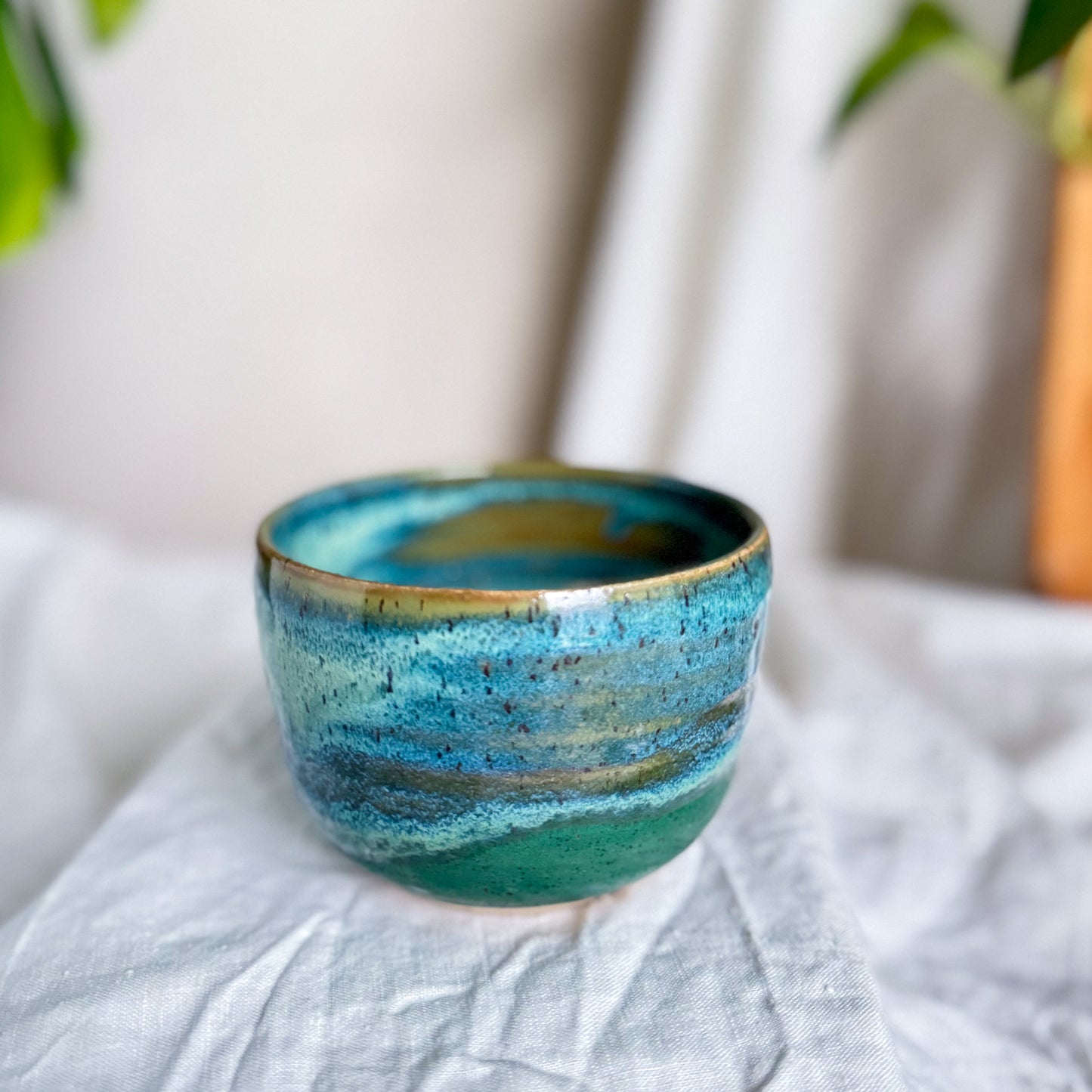 Rainforest Cup #3