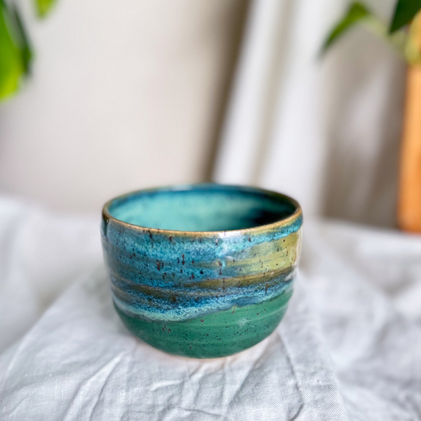 Rainforest Cup #3