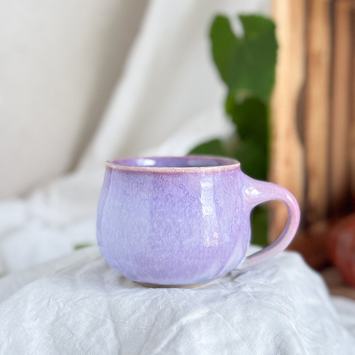 Wisteria Lane Cauldron Mug #1