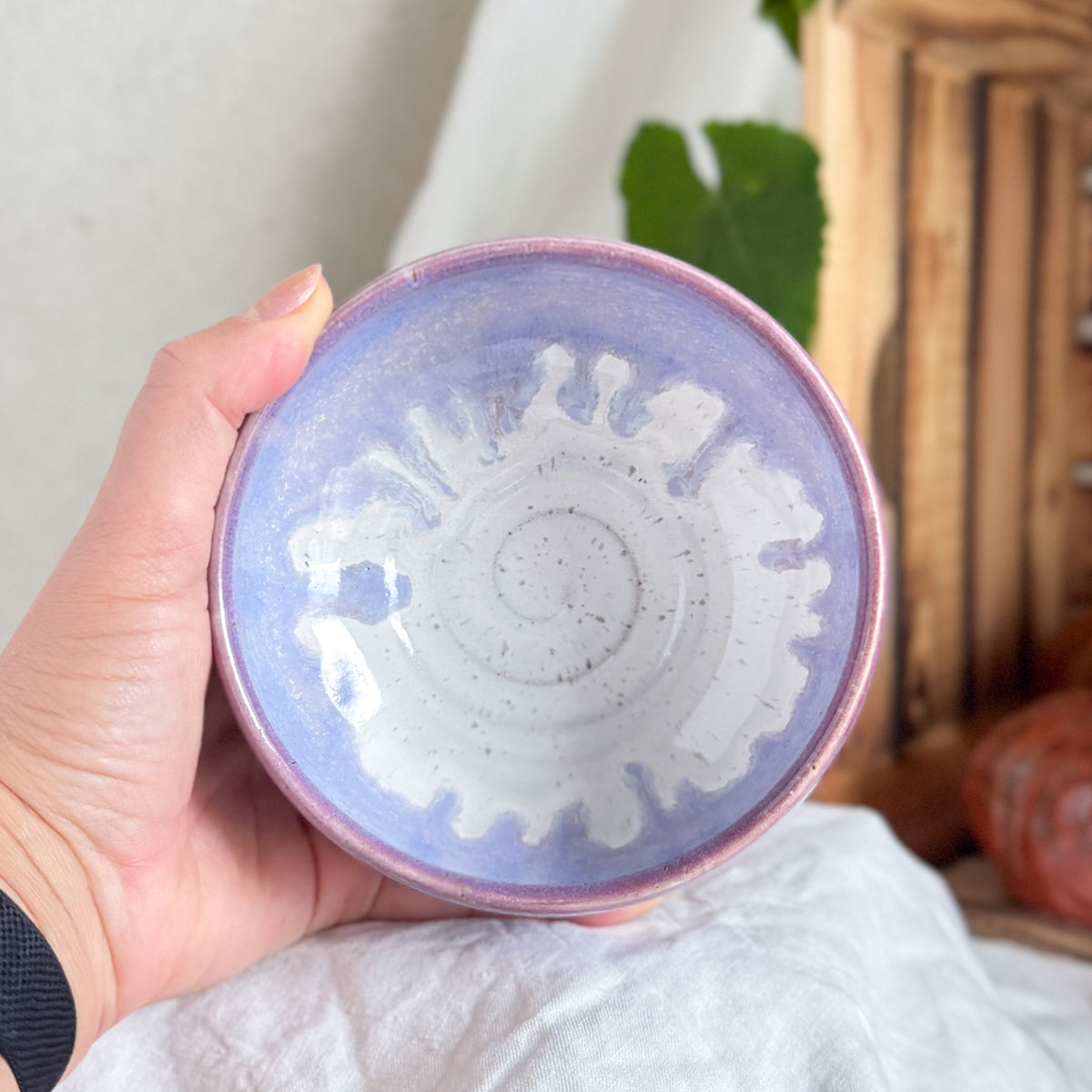 Blueberry Milk Breakfast Bowl #2