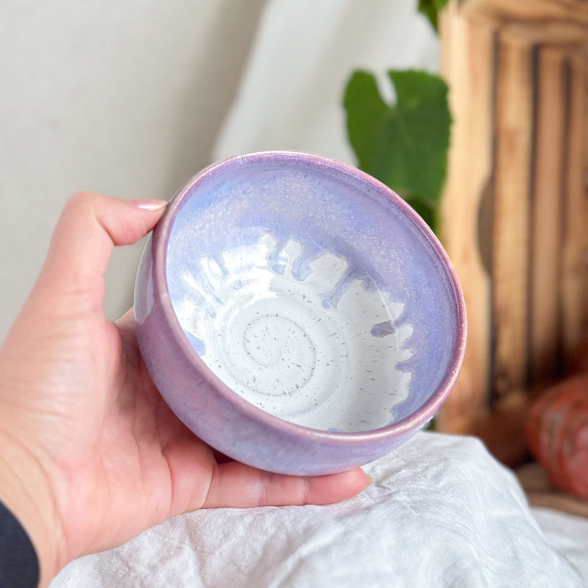 Blueberry Milk Breakfast Bowl #2