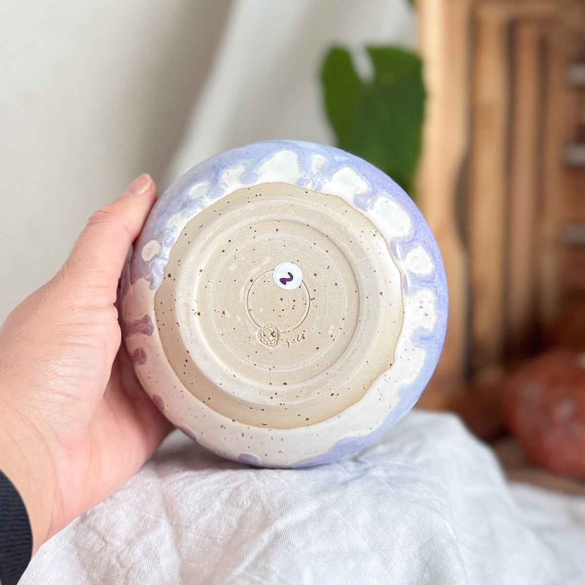Blueberry Milk Breakfast Bowl #2