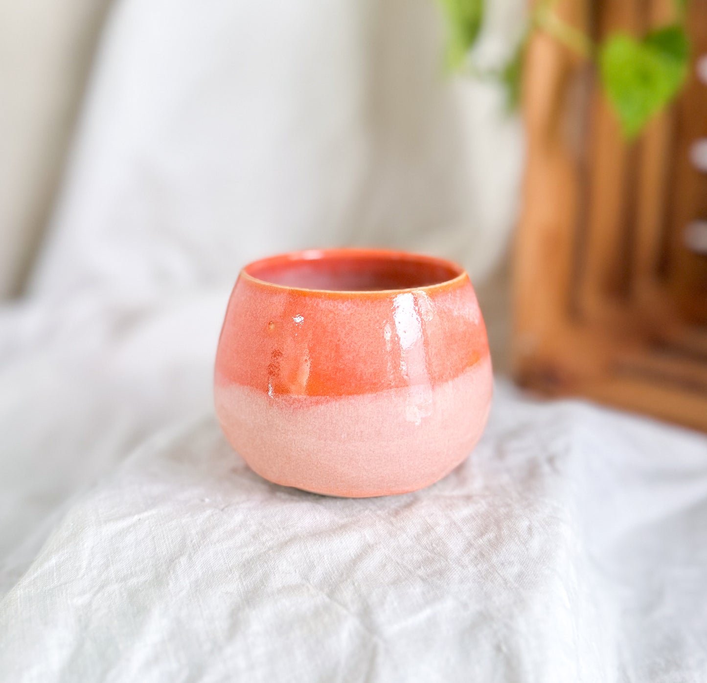 Tangerine Sorbet Cup #2