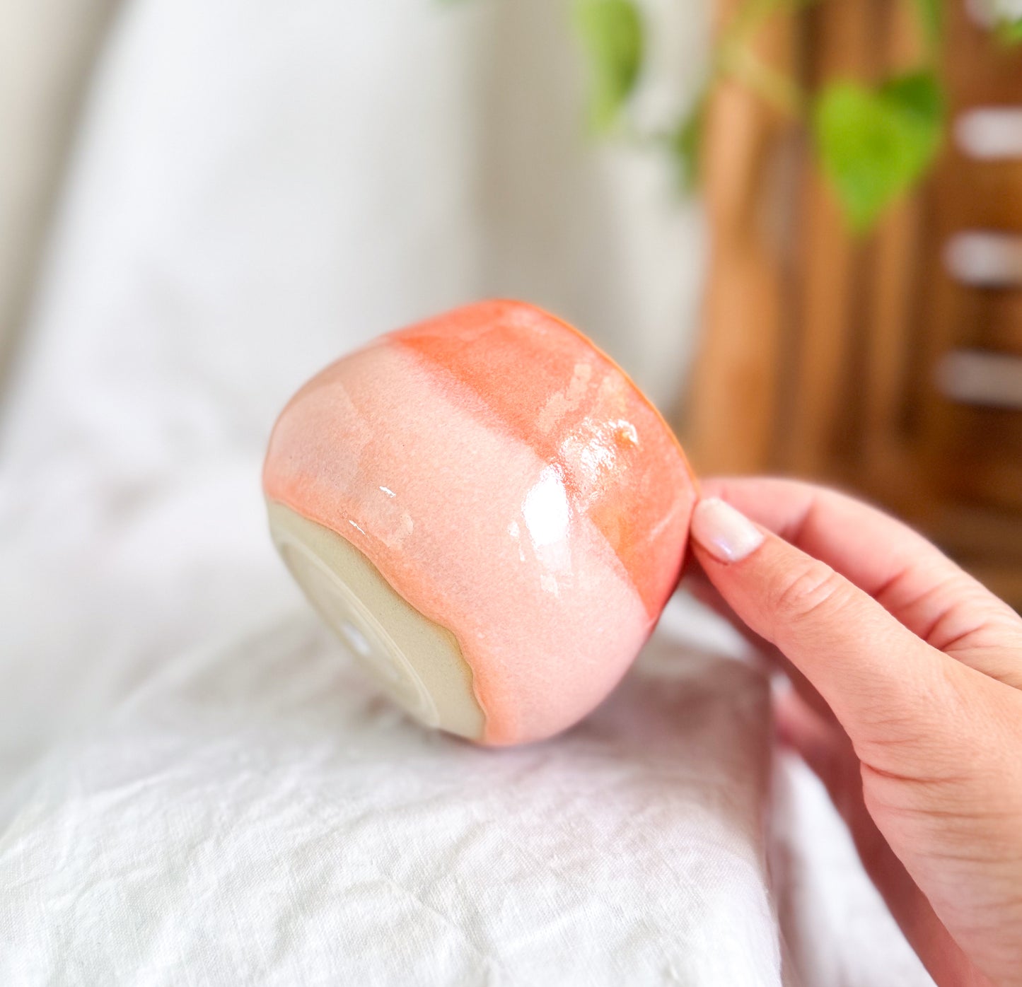 Tangerine Sorbet Cup #2