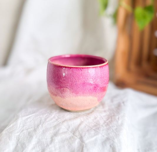 Raspberry Sorbet Cup #2