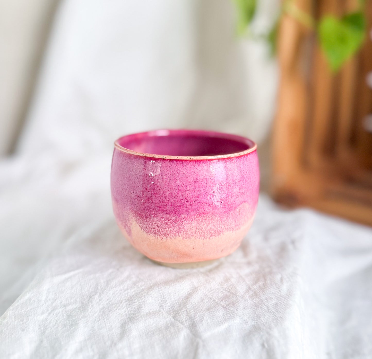 Raspberry Sorbet Cup #2
