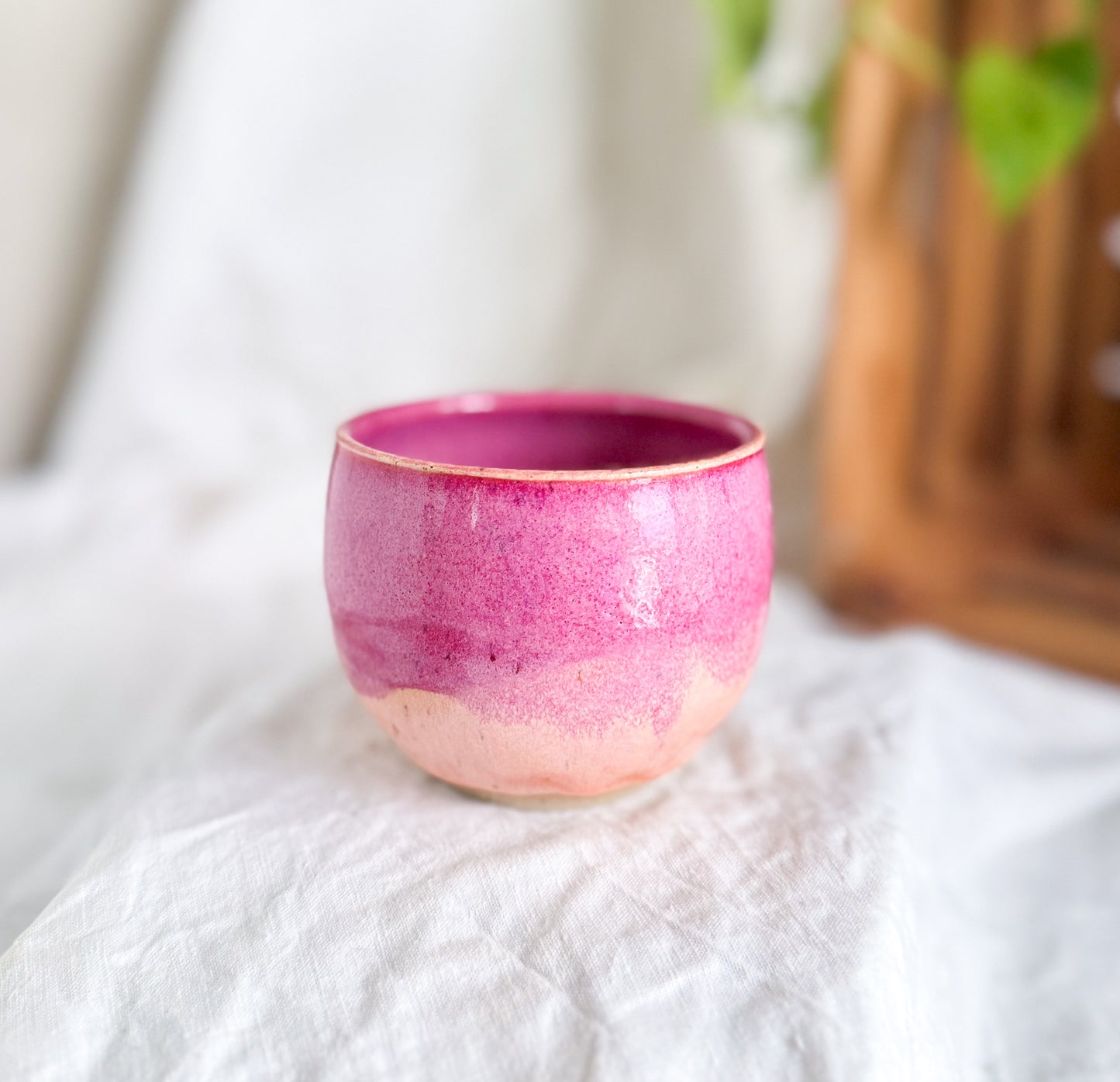 Raspberry Sorbet Cup #2