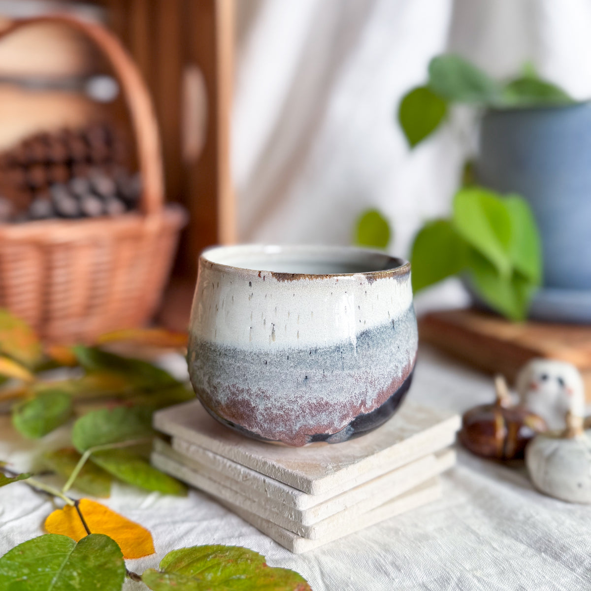 Black Forest Cup #2