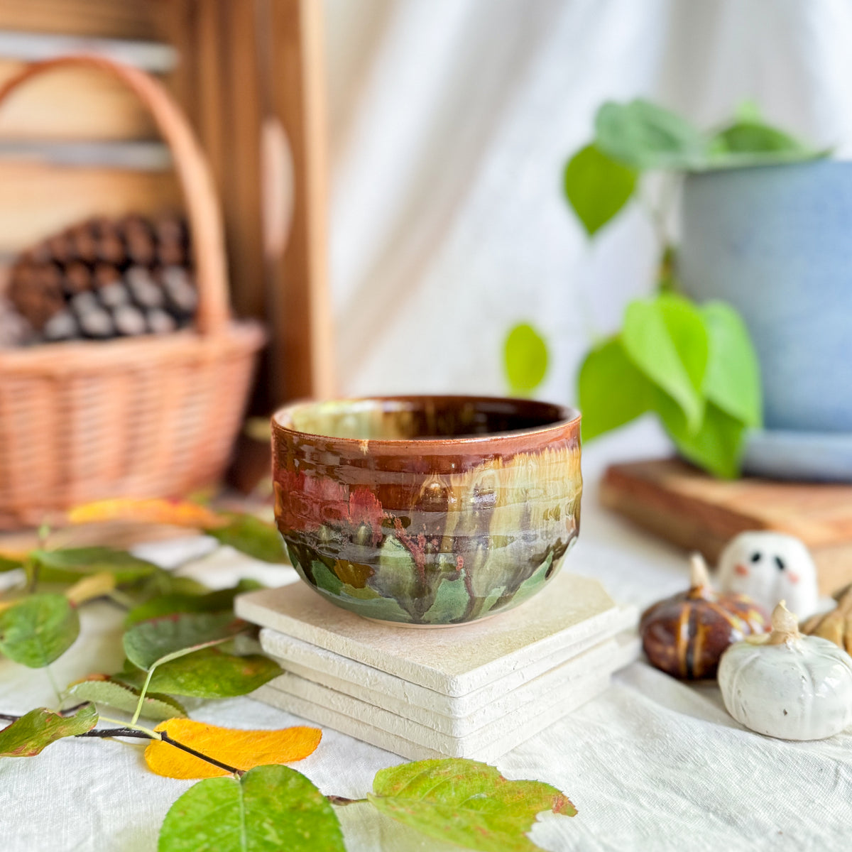 Chestnut Cup #1