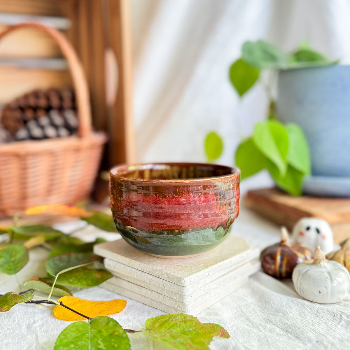Chestnut Cup #1