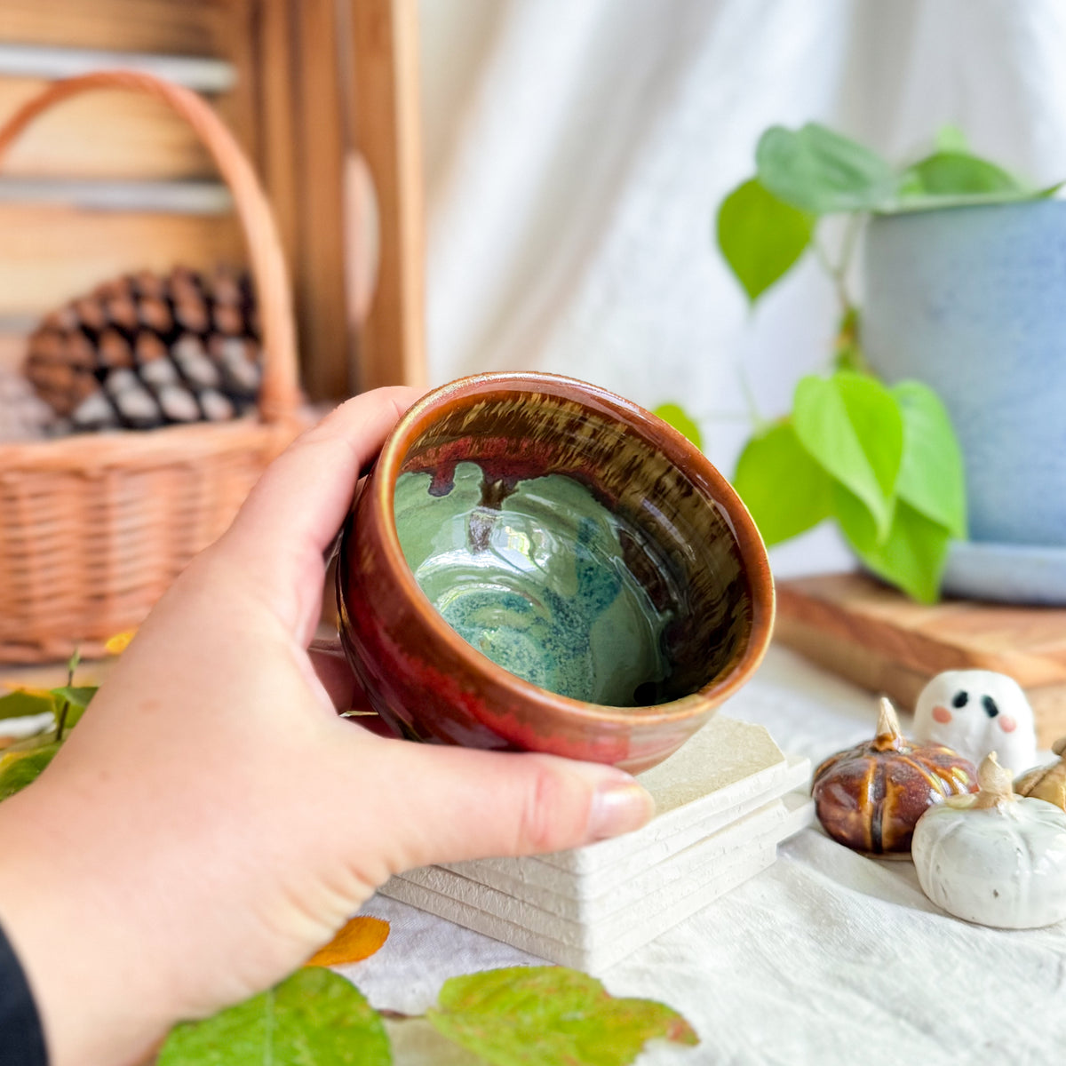 Chestnut Cup #1