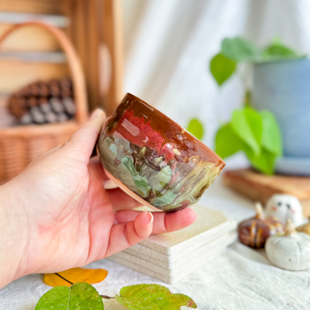 Chestnut Cup #1