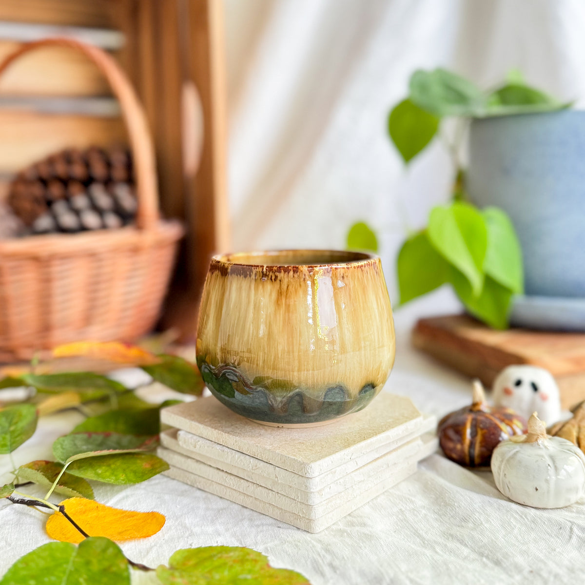 Chestnut Cup #2