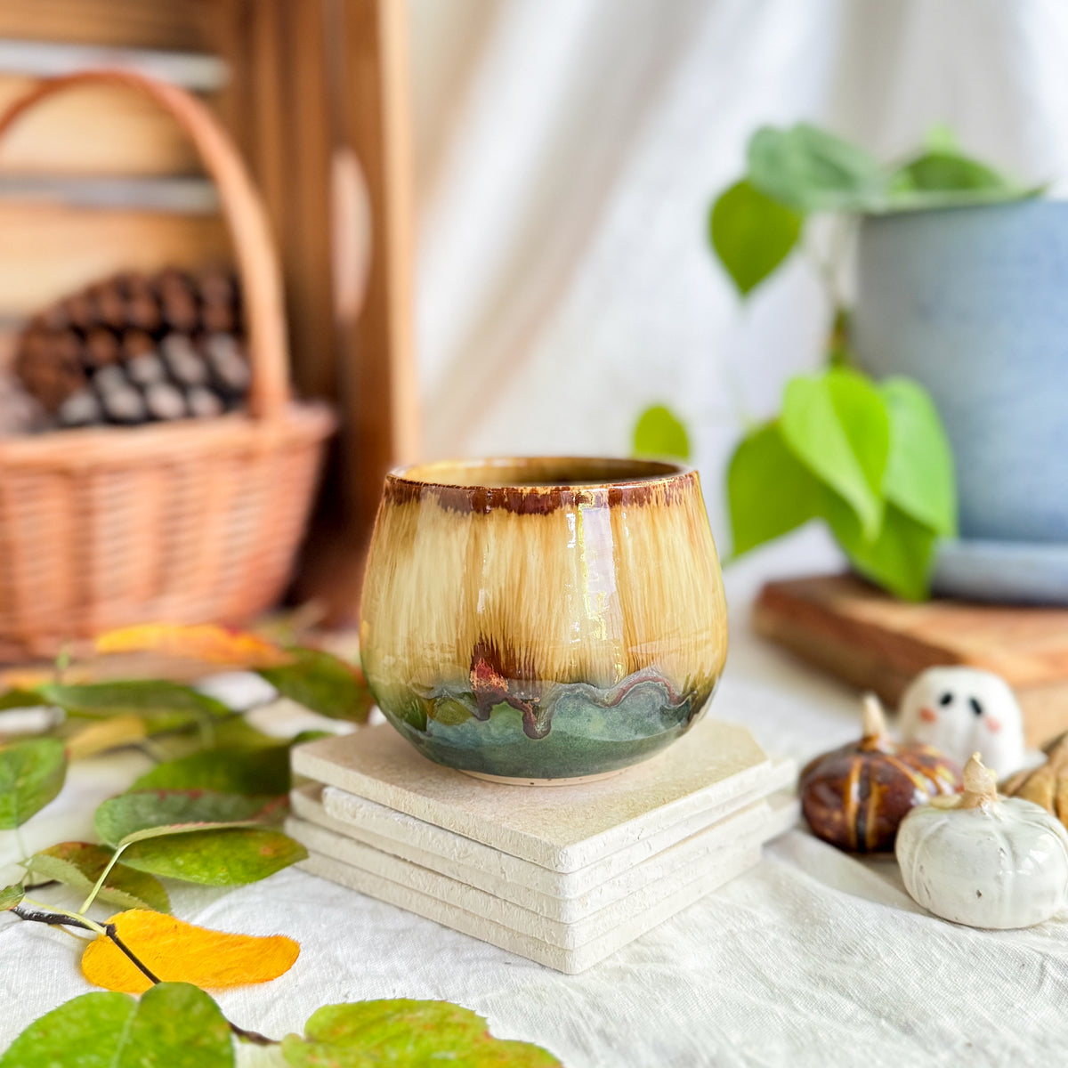 Chestnut Cup #2