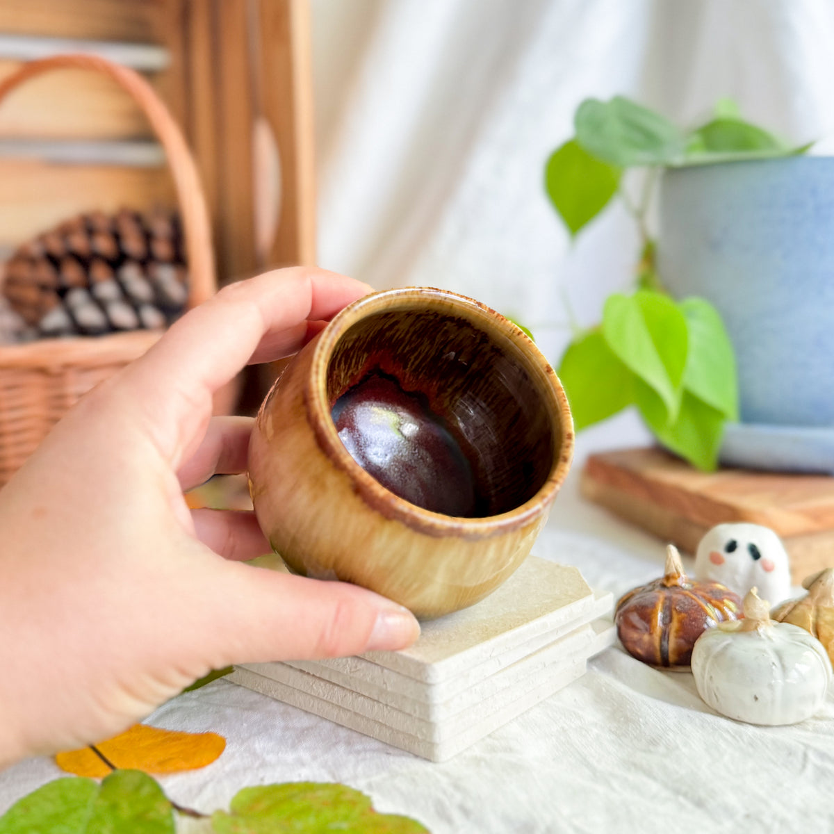 Chestnut Cup #2