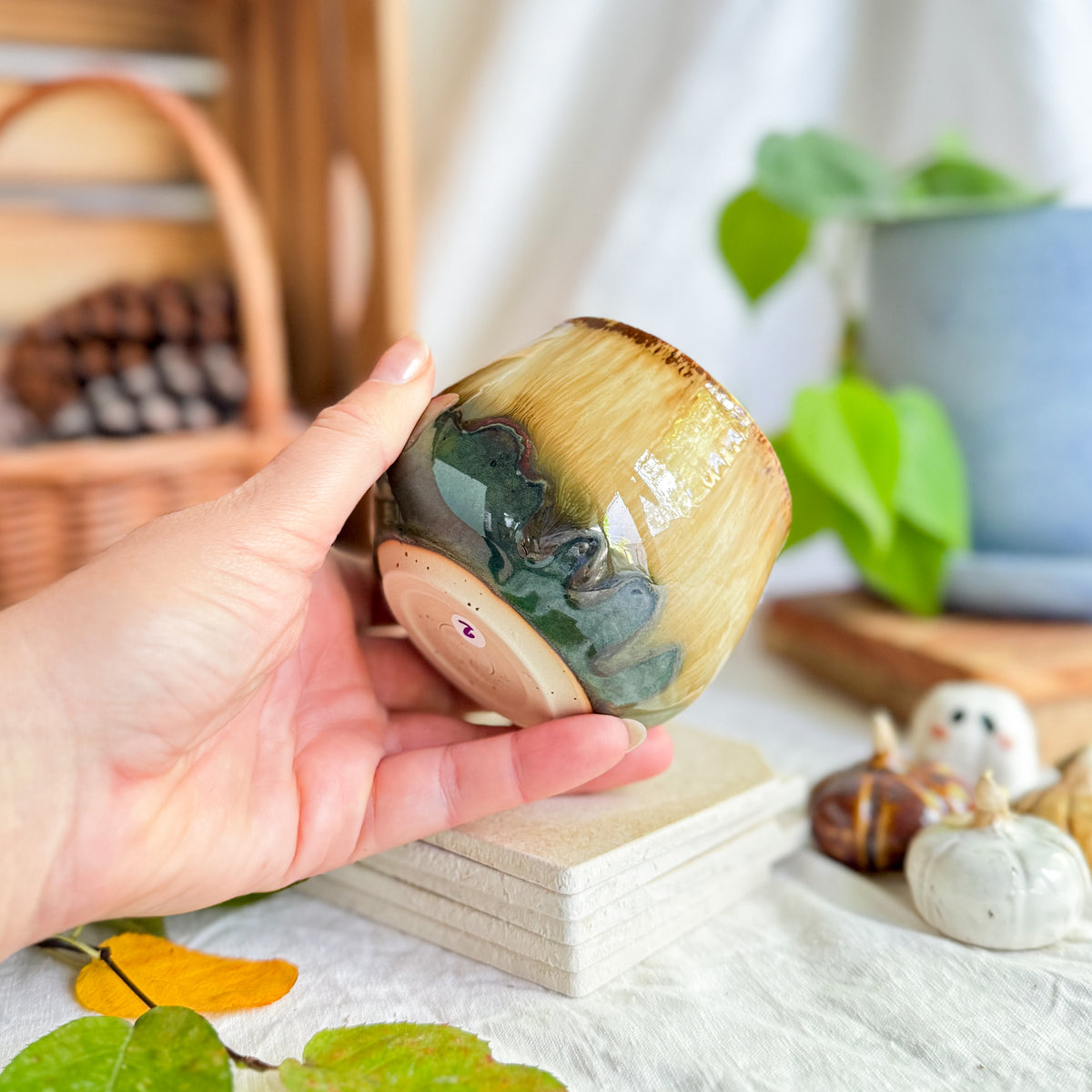 Chestnut Cup #2