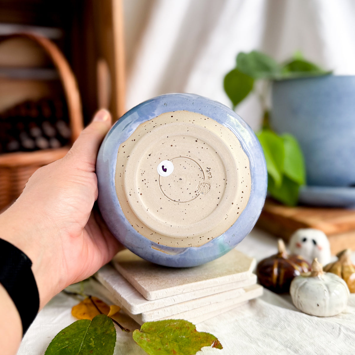 Water Lilies Breakfast Bowl #6
