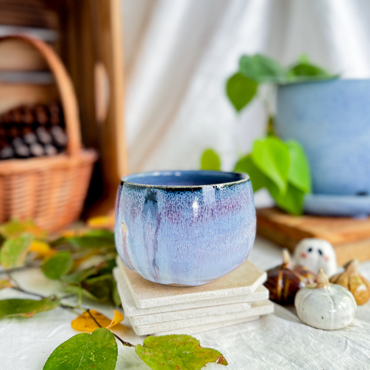 Twilight Lotti Mug #2