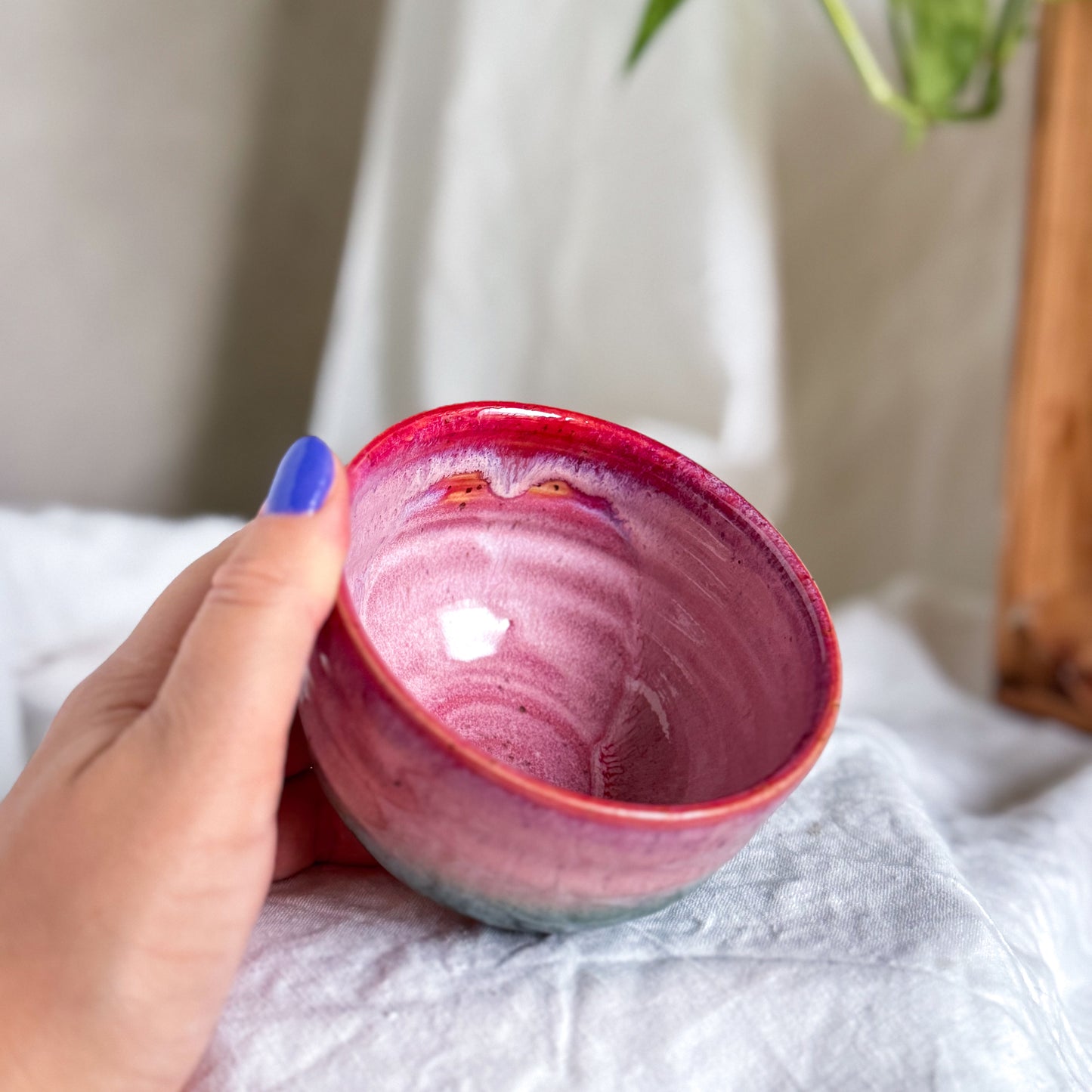 Raspberry Forest Cup #5