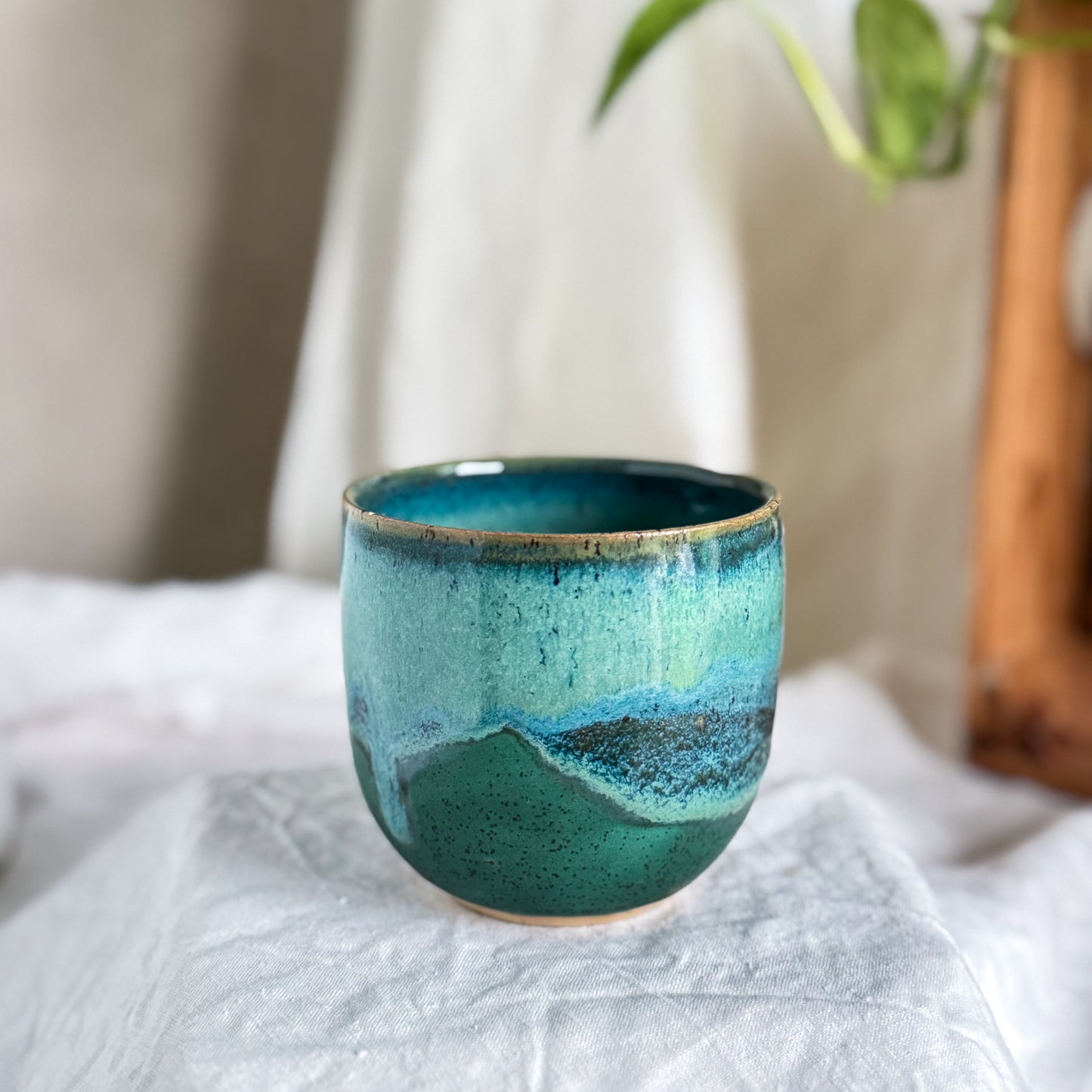 Rainforest Cup #2