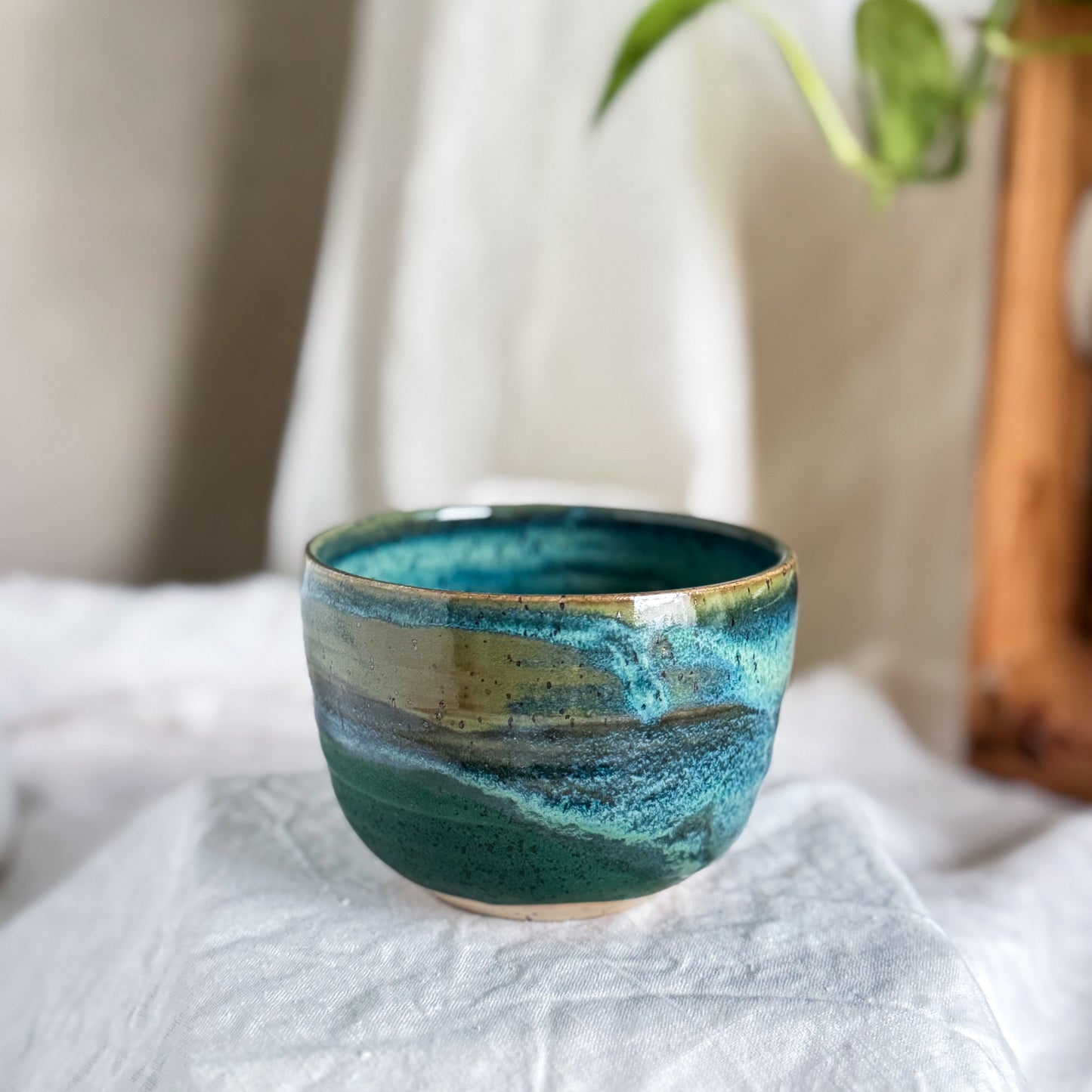 Rainforest Cup #3