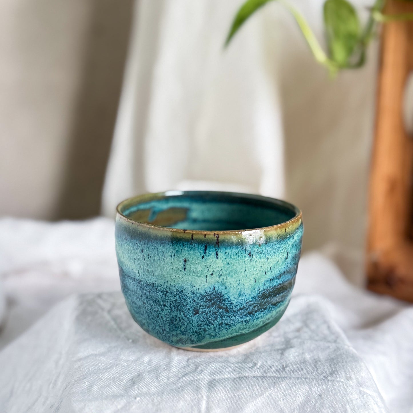 Rainforest Cup #3