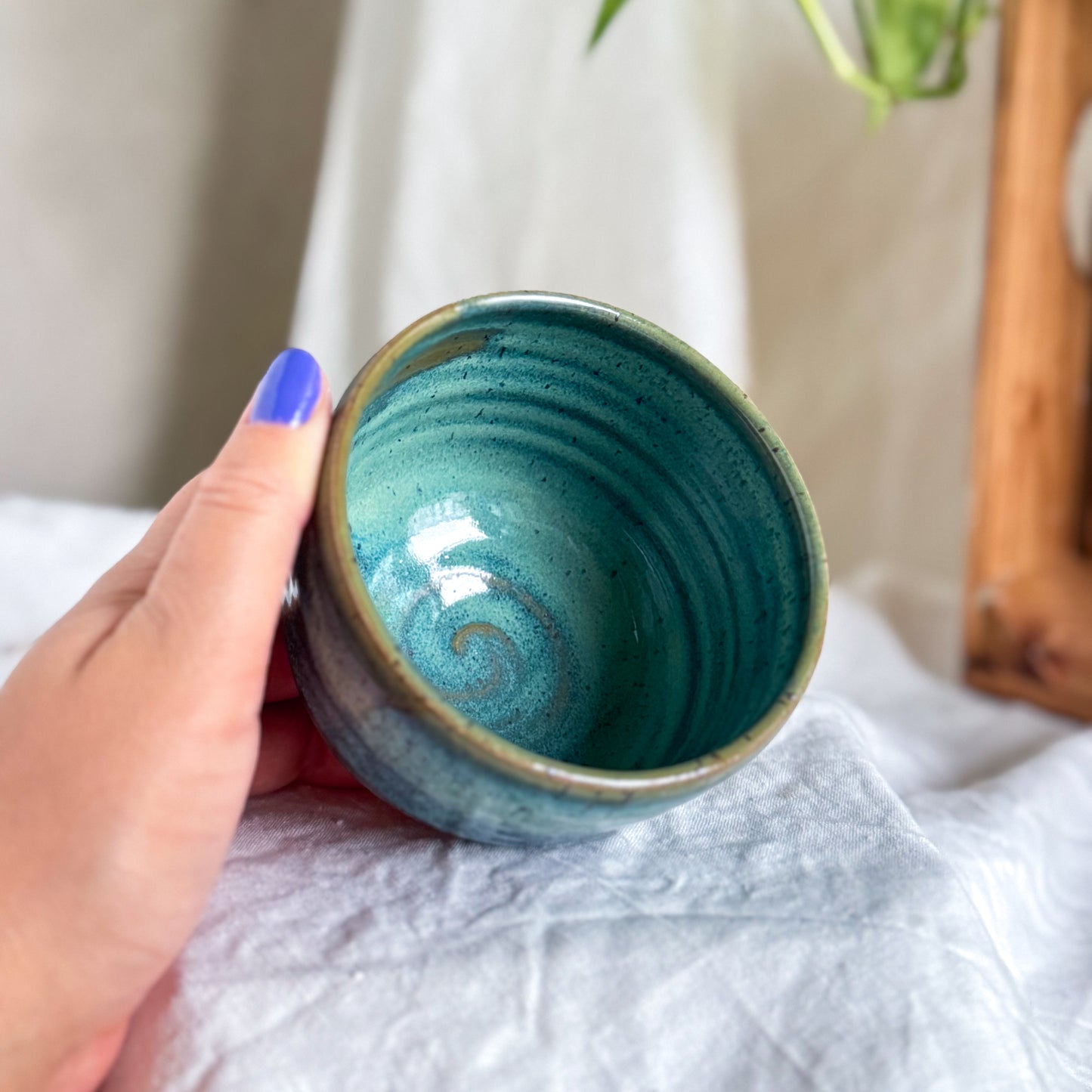 Rainforest Cup #3