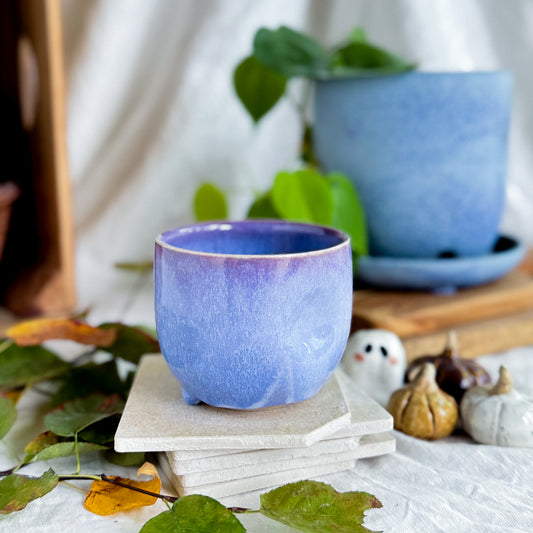 Wisteria Lane Thumb Cup #2