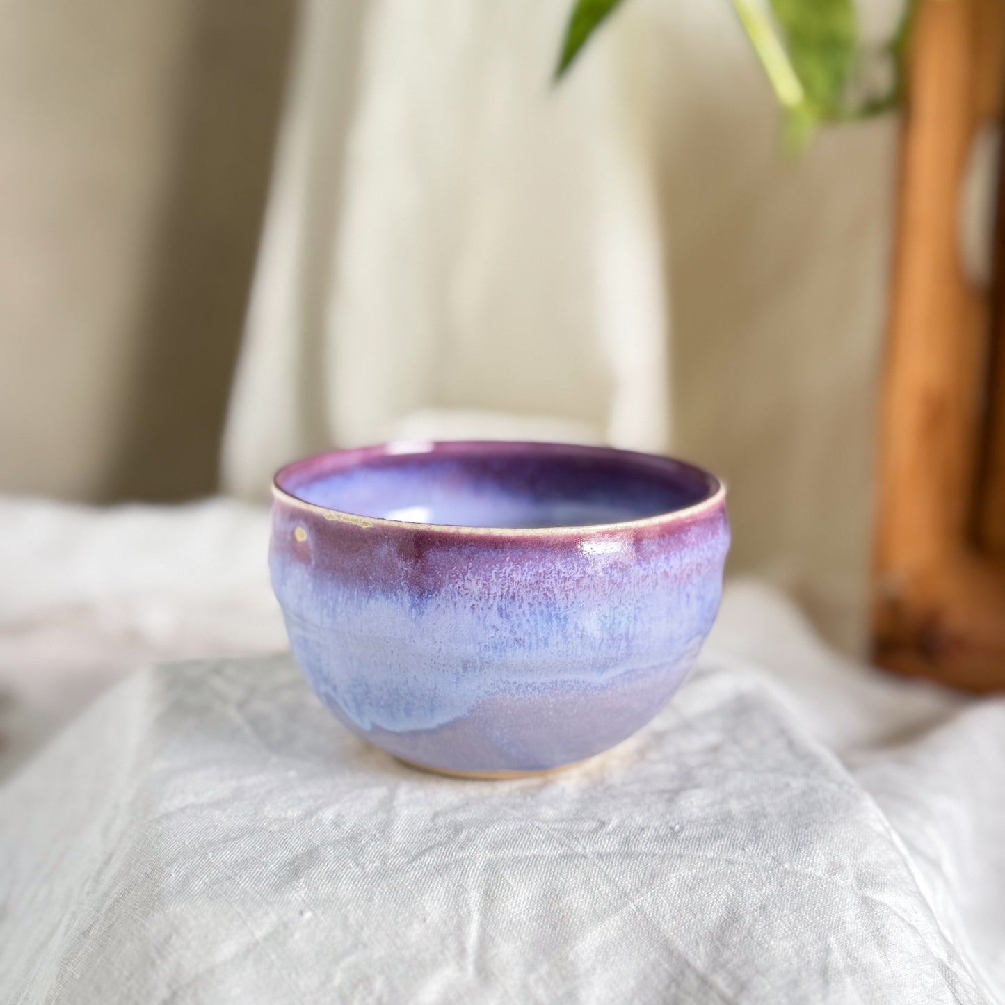Wisteria Lane Cup #5
