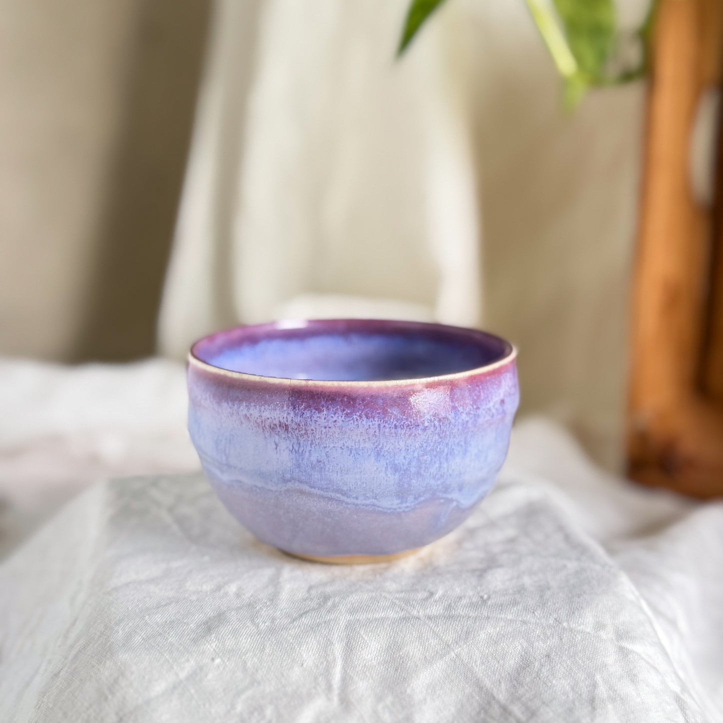Wisteria Lane Cup #5