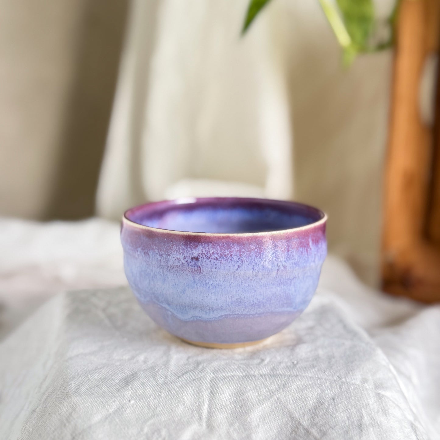 Wisteria Lane Cup #5