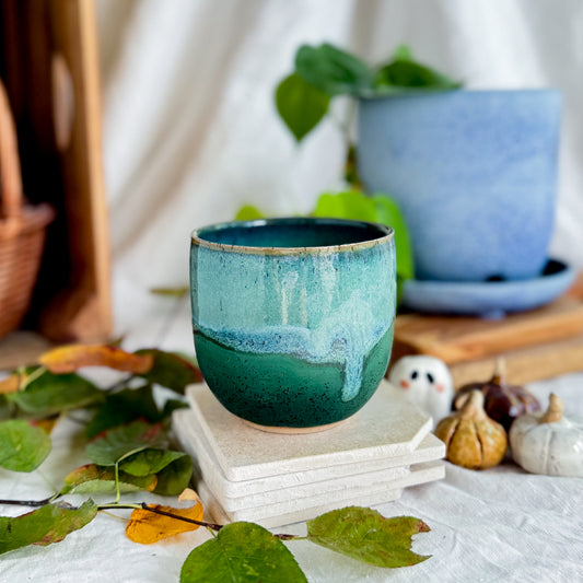 Rainforest Cup #2