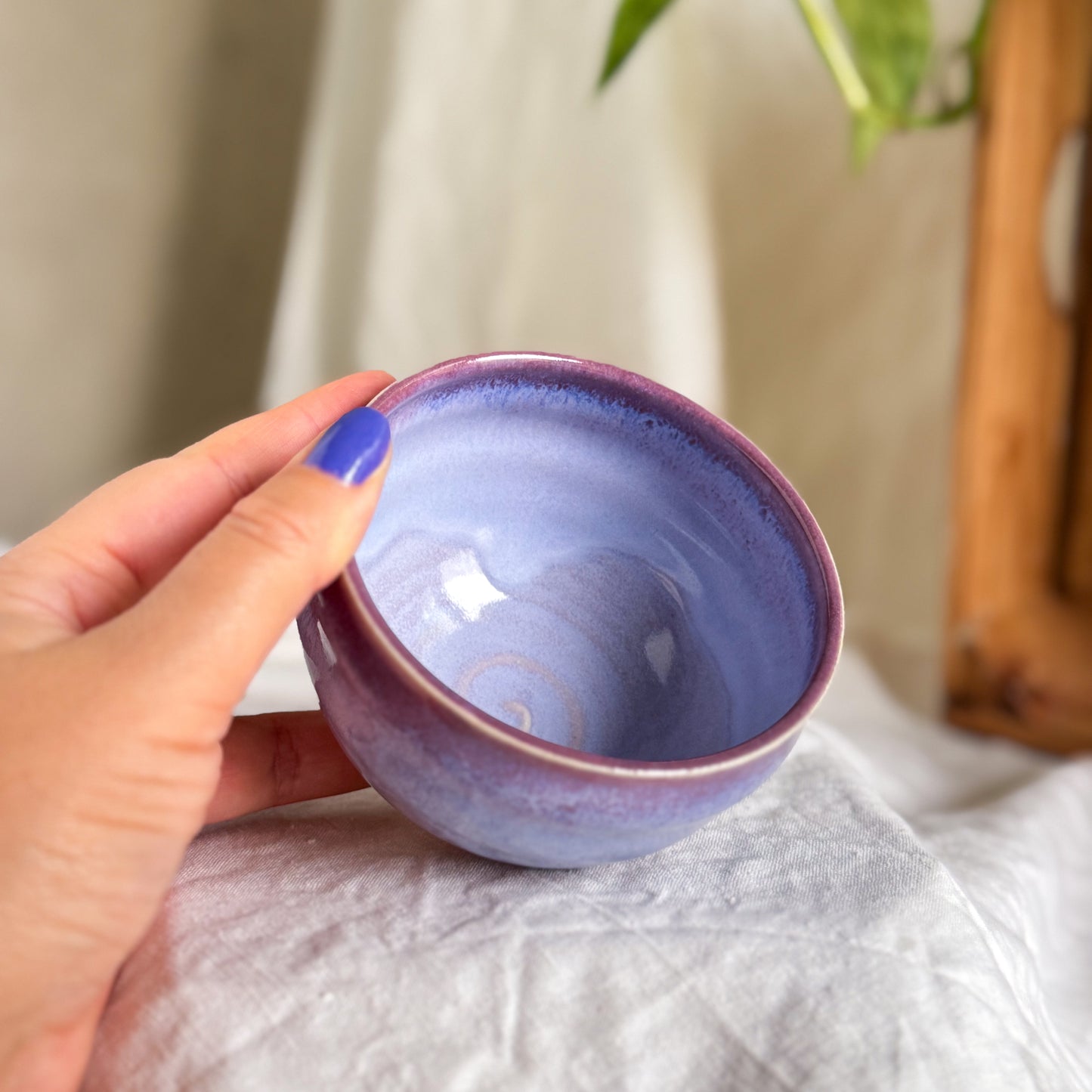 Wisteria Lane Cup #5