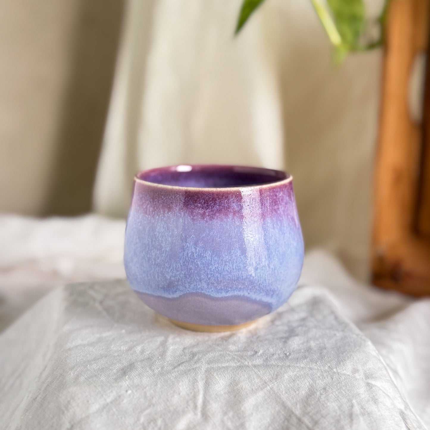 Wisteria Lane Cup #6
