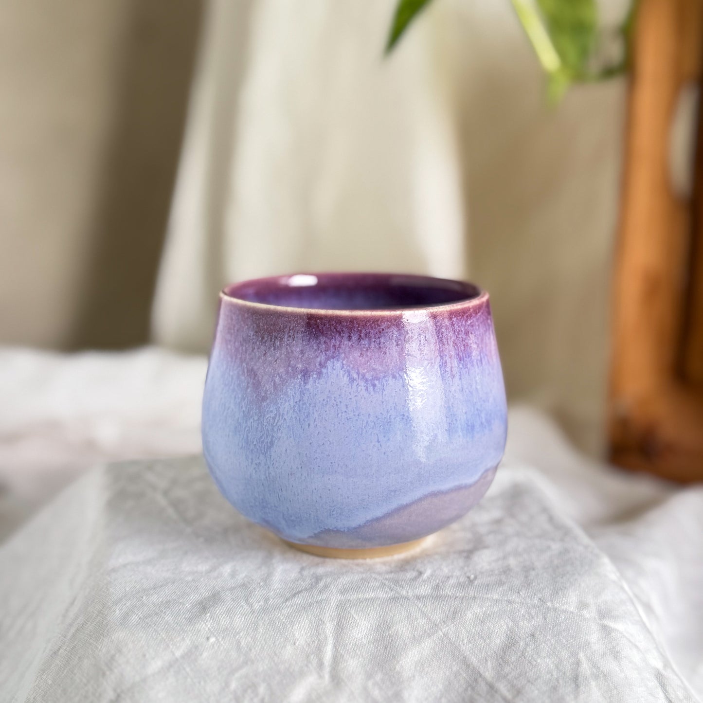 Wisteria Lane Cup #6
