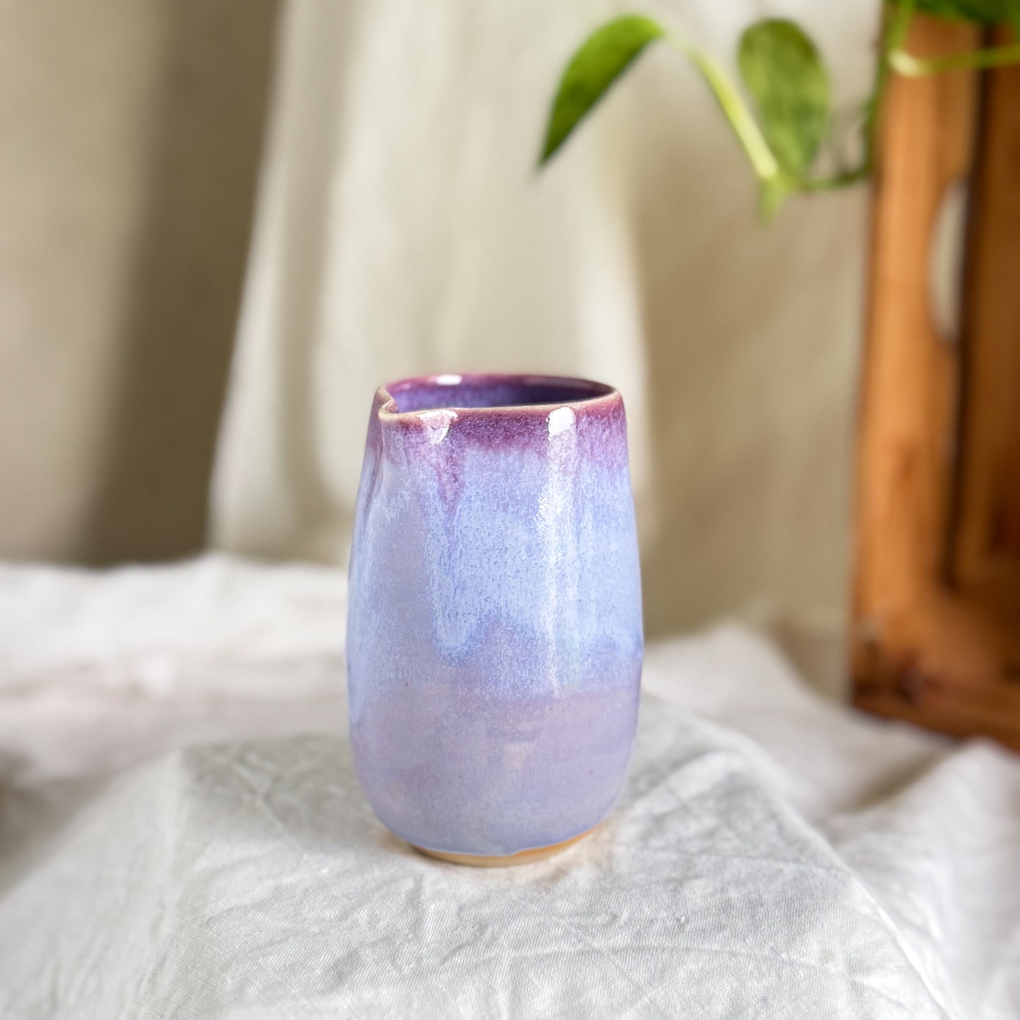 Wisteria Lane Creamer #9