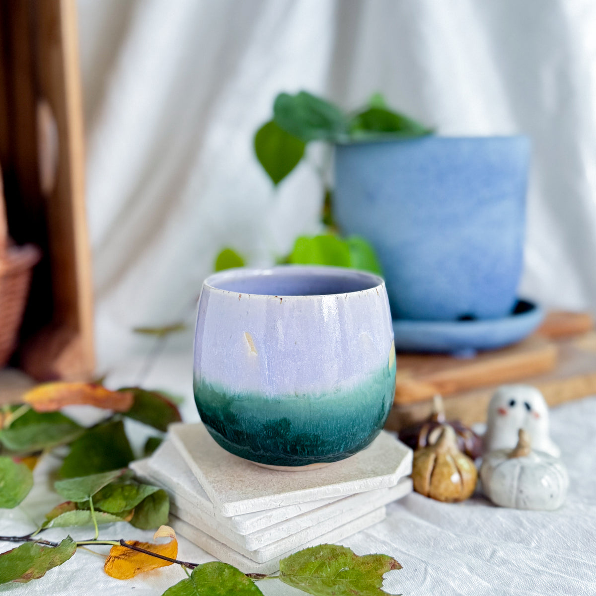 Lavender Fields Cup #5