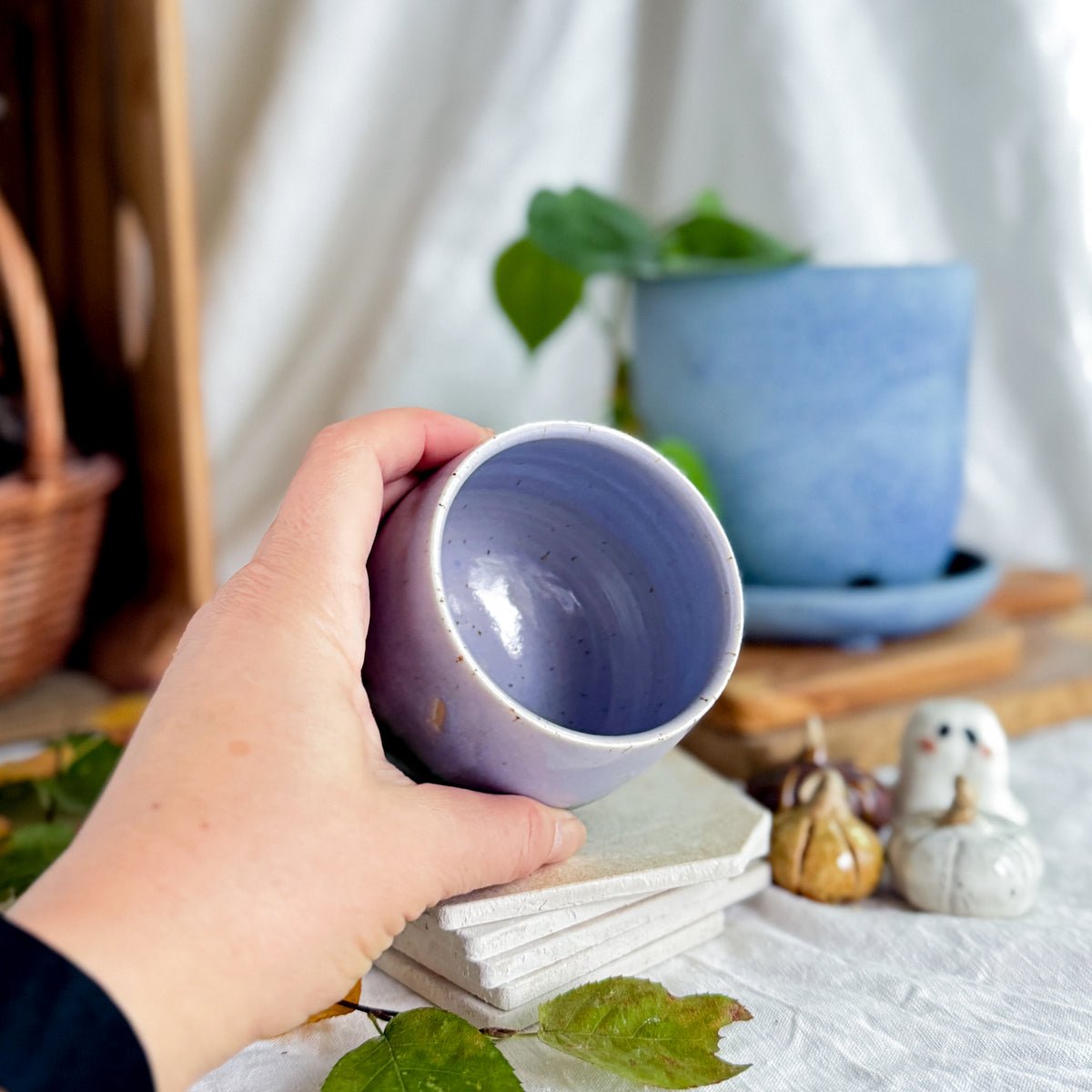 Lavender Fields Cup #5