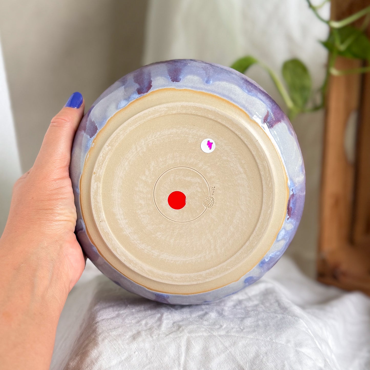 Wisteria Lane Pasta Plate #14